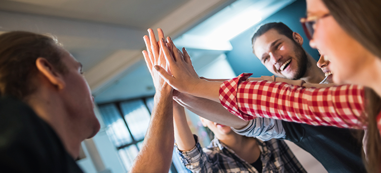 projeto será um sucesso