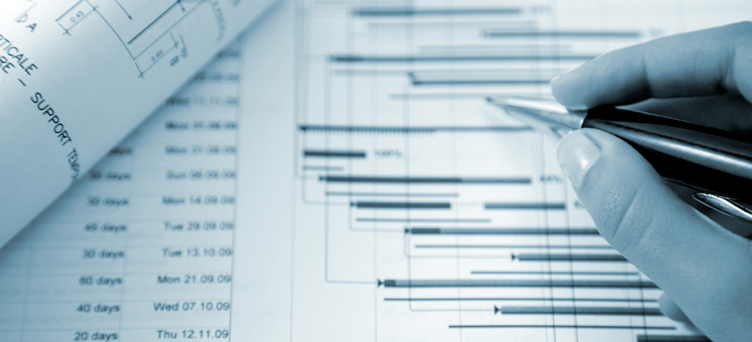 software de gerenciamento de projetos