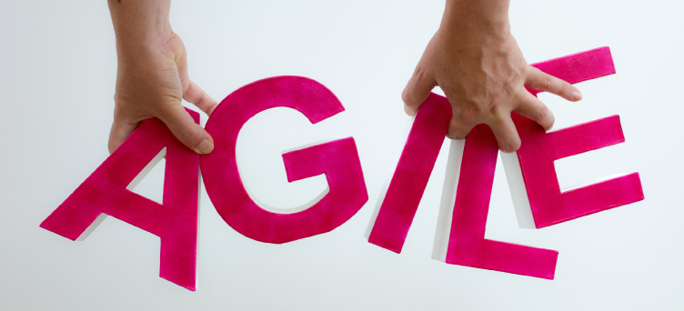 gestão de projetos ágil