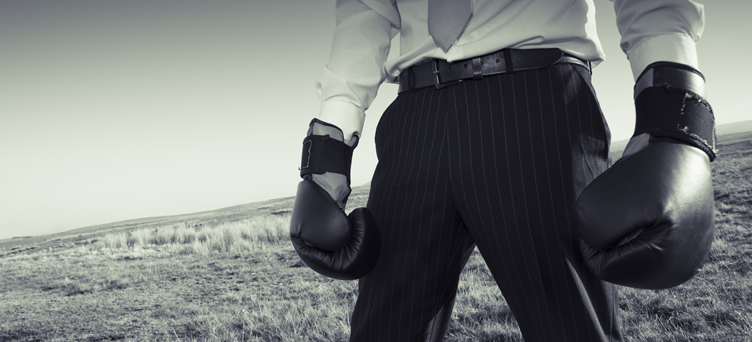 novo gerente de projetos