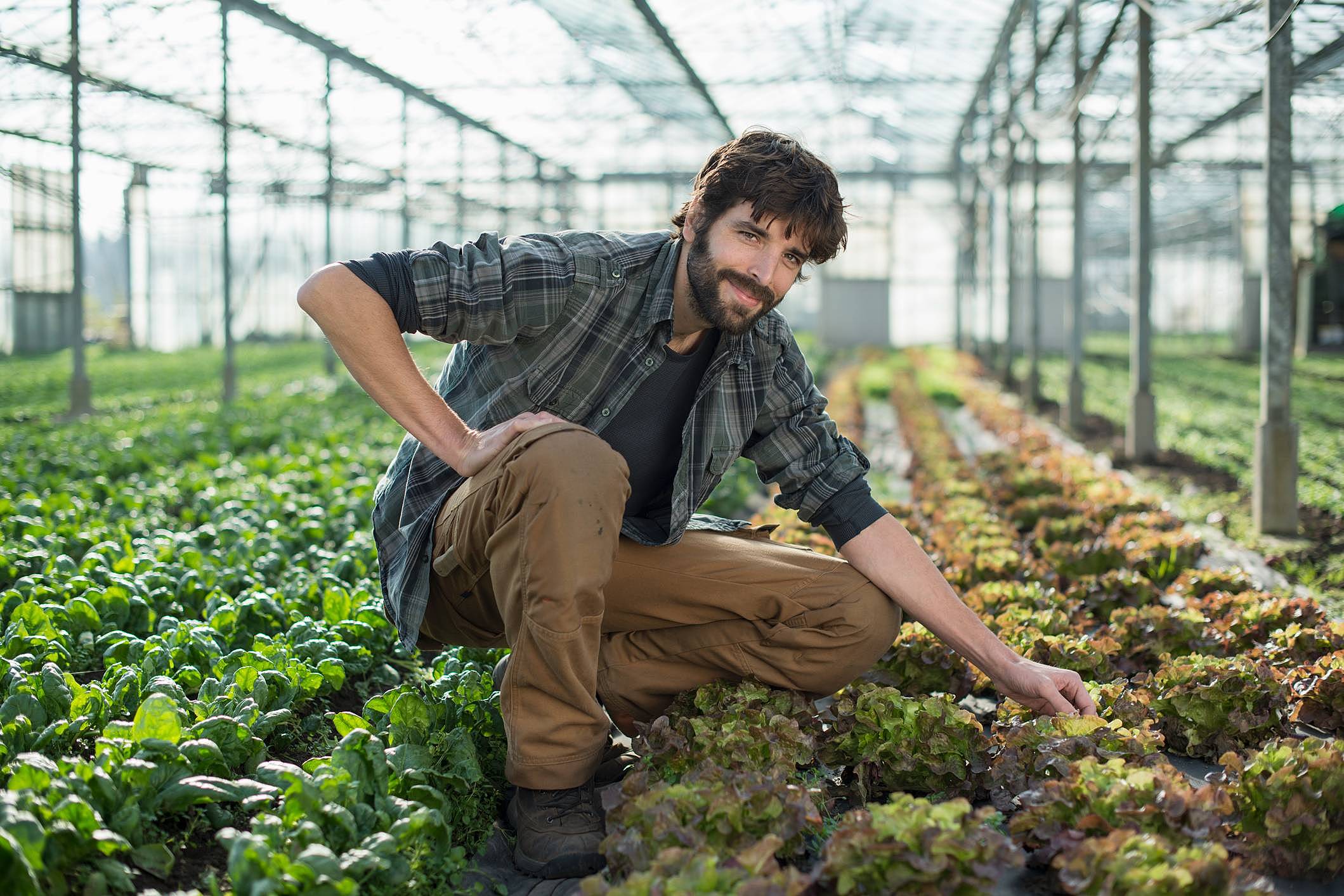 agricultura sustentável